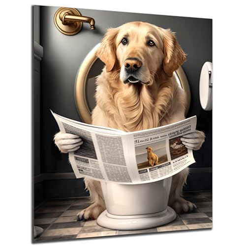 DARO Design - Toiletten-Bild auf 6mm HDF 40x30 cm Golden Retriever Hund auf WC - Wand-Deko Bilder Lustiges Geschenk von DARO Design