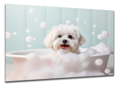 DARO Design - Toiletten-Bild auf 6mm HDF 40x30 cm Hunde-Welpe Malteser in der Badewanne - Wand-Deko Bilder Lustiges Geschenk von DARO Design