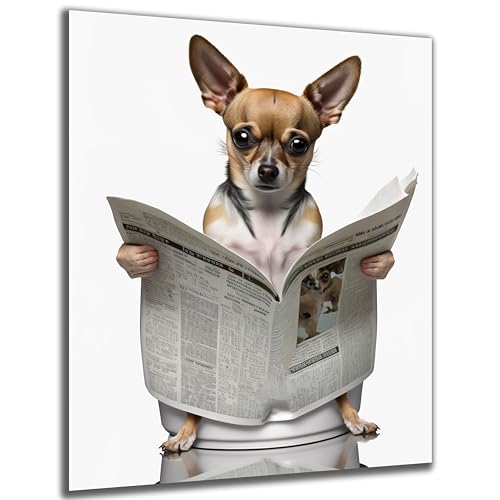 DARO Design - Toiletten-Bild auf 6mm HDF 84x56 cm Chihuahua Hund auf WC - Wand-Deko Bilder Lustiges Geschenk von DARO Design