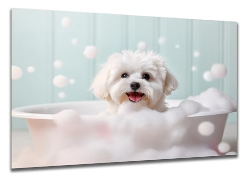 DARO Design - Toiletten-Bild auf 6mm HDF 84x56 cm Hunde-Welpe Malteser in der Badewanne - Wand-Deko Bilder Lustiges Geschenk von DARO Design