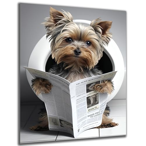 DARO Design - Toiletten-Bild auf 6mm HDF 84x56 cm Yorkshire Terrier Hund auf WC - Wand-Deko Bilder Lustiges Geschenk von DARO Design