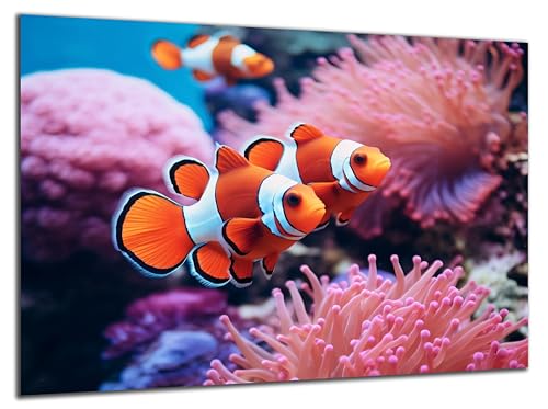 DARO Design - Wand-Bild 6mm HDF 30x20 cm Unterwasser 2 Anemonen-Fische - Wand-Deko Bilder Wohnzimmer von DARO Design