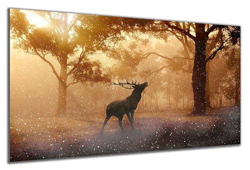 DARO Design - Wand-Bild auf 6mm HDF 30x20 cm Hirsch - Wand-Deko Bilder Geschenk DARO Design - Wand-Bild auf 6mm HDF 30x20 cm Hirsch - Wand-Deko Bilder Geschenk von DARO Design