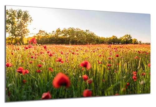 DARO Design - Wand-Bild auf 6mm HDF 30x20 cm Mohnblumen Blumenwiese - Wand-Deko Bilder Geschenk von DARO Design