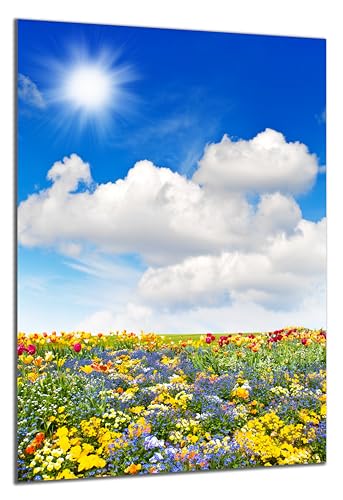 DARO Design - Wand-Bild auf 6mm HDF 30x20 cm bunte Blumenwiese blauer Himmel- Wand-Deko Bilder Geschenk von DARO Design