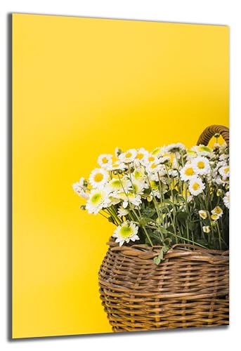 DARO Design - Wand-Bild auf 6mm HDF 40x30 cm Korb Blumen Gänseblümchen - Wand-Deko Bilder Geschenk von DARO Design