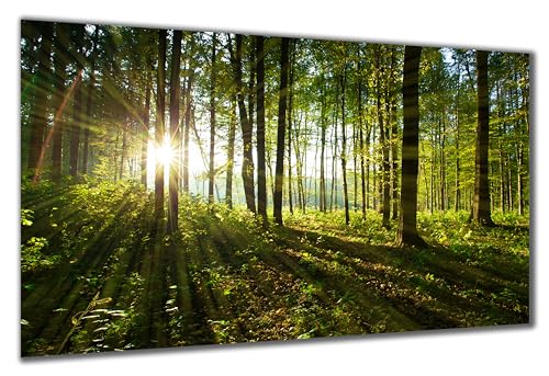 DARO Design - Wand-Bild auf 6mm HDF 40x30 cm Sonnenstrahlen Bäume - Wand-Deko Bilder Geschenk von DARO Design