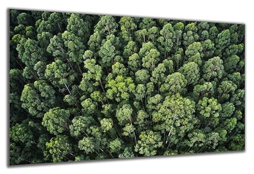 DARO Design - Wand-Bild auf 6mm HDF 40x30 cm Wald von oben - Wand-Deko Bilder Geschenk DARO Design - Wand-Bild auf 6mm HDF 40x30 cm Wald von oben - Wand-Deko Bilder Geschenk von DARO Design