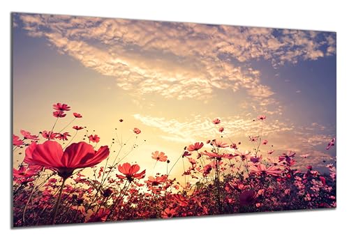 DARO Design - Wand-Bild auf 6mm HDF 70x50 cm Blumenwiese Abendstimmung - Wand-Deko Bilder Geschenk von DARO Design