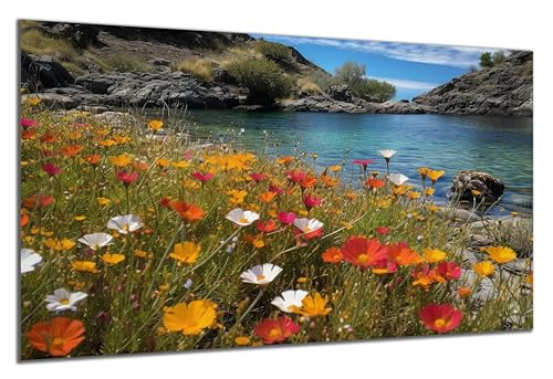 DARO Design - Wand-Bild auf 6mm HDF 70x50 cm Blumenwiese Bergsee - Wand-Deko Bilder Geschenk von DARO Design