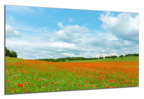 DARO Design - Wand-Bild auf 6mm HDF 70x50 cm Blumenwiese Mohn-Blumen - Wand-Deko Bilder Geschenk von DARO Design