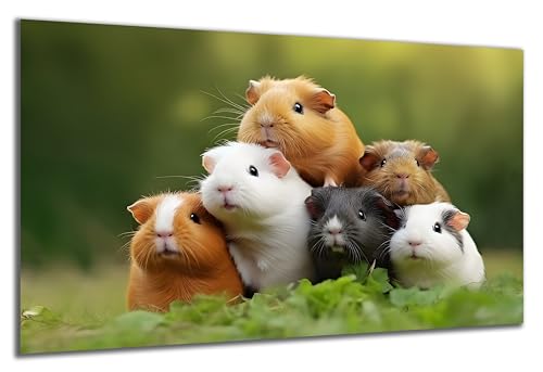 DARO Design - Wand-Bild auf 6mm HDF 70x50 cm Meerschweinchen Gruppe - Wand-Deko Bilder Geschenk von DARO Design