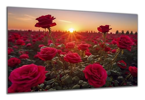 DARO Design - Wand-Bild auf 6mm HDF 70x50 cm rote Rosen Feld Sonnenuntergang - Wand-Deko Bilder Geschenk von DARO Design