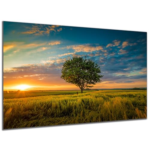 DARO Design - Wand-Bild auf 6mm HDF 70x50cm Baum Abendsonne - Wand-Deko Bilder Geschenk von DARO Design