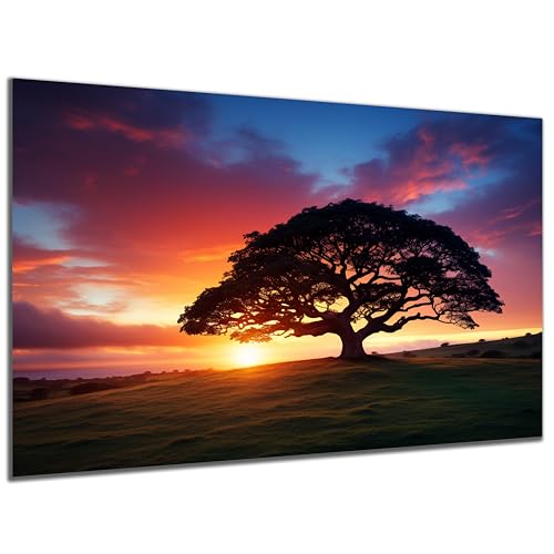 DARO Design - Wand-Bild auf 6mm HDF 70x50cm Einsamer Baum im Sonnenuntergang - Wand-Deko Bilder Geschenk von DARO Design
