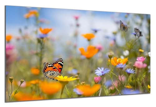 DARO Design - Wand-Bild auf 6mm HDF 84x56 cm Blumenwiese Schmetterling - Wand-Deko Bilder Geschenk von DARO Design