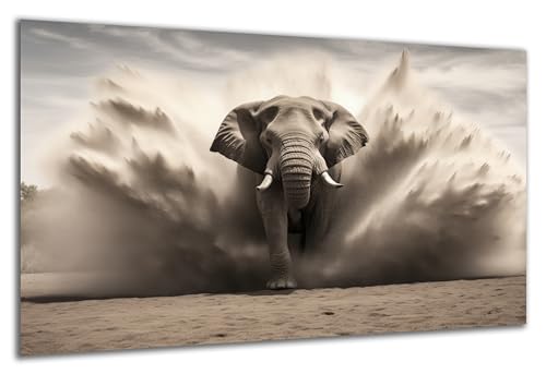 DARO Design - Wand-Bild auf 6mm HDF 84x56 cm Elefant Sand - Wand-Deko Bilder Geschenk von DARO Design