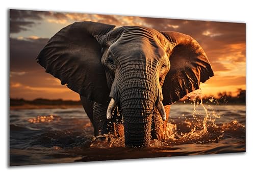 DARO Design - Wand-Bild auf 6mm HDF 84x56 cm Elefant Wasser Sonnenuntergang - Wand-Deko Bilder Geschenk von DARO Design