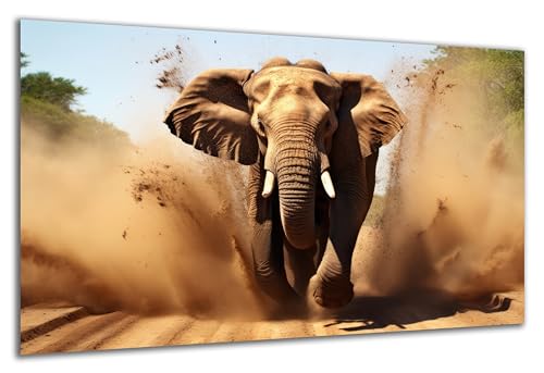 DARO Design - Wand-Bild auf 6mm HDF 84x56 cm Elefant rennt - Wand-Deko Bilder Geschenk von DARO Design