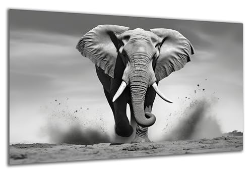 DARO Design - Wand-Bild auf 6mm HDF 84x56 cm Elefant rennt schwarz weiß - Wand-Deko Bilder Geschenk von DARO Design
