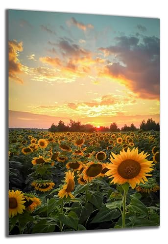 DARO Design - Wand-Bild auf 6mm HDF 84x56 cm Sonnenblumen Sonnenuntergang - Wand-Deko Bilder Geschenk DARO Design - Wand-Bild auf 6mm HDF 84x56 cm Sonnenblumen Sonnenuntergang - Wand-Deko Bilder Geschenk von DARO Design
