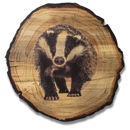 DARO Design - Wandbild Dachs Größe 45cm - Kunstdruck aufhängefertig - Wanddekoration Thema Jagd, Natur, Tiere von DARO Design