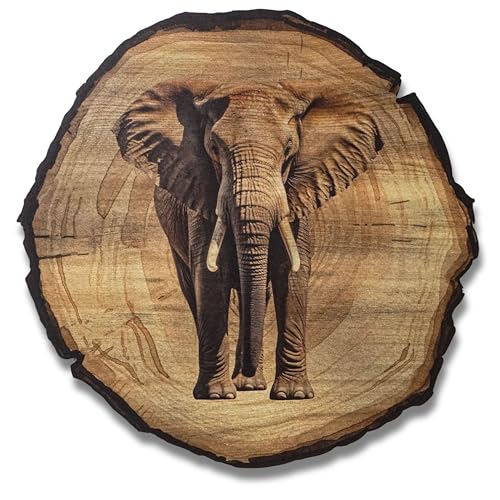 DARO Design - Wandbild Elefant Größe 45cm - Kunstdruck aufhängefertig - Wanddekoration Thema Jagd, Natur, Tiere von DARO Design