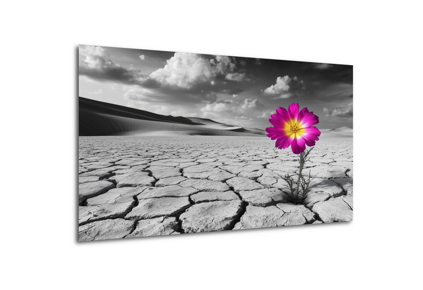 DARO Design Leinwandbild Modern Abstrakt Wandbilder XXL Wandbild Wand Deko Leinwand Bilder, (pink-gelbe Wüstenblume - Bild groß Wohnzimmer Schlafzimmer Küche Esszimmer Einteilig Querformat Fotodruck Leinwände Wanddeko Abstrakte Kunst Boho), 70x50cm DARO Design Leinwandbild Modern Abstrakt Wandbilder XXL Wandbild Wand Deko Leinwand Bilder, (pink-gelbe Wüstenblume - Bild groß Wohnzimmer Schlafzimmer Küche Esszimmer Einteilig Querformat Fotodruck Leinwände Wanddeko Abstrakte Kunst Boho), 70x50cm von DARO Design