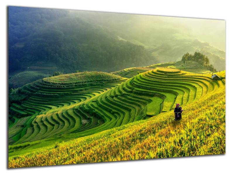 DARO Design Wandbild Wandbild Abstrakt Modern natur Leinwandbild Wohnzimmer Küche Bilder von DARO Design