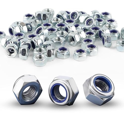 60 Stück Muttern M6 Edelstahlmuttern, Selbstsichernde Muttern A2 V2A DIN985 Selbstsichernde Sechskantmuttern, Edelstahl Mutter, Sechskant Mutter mit Metrischem Regelgewinde (60, M6) von DASHUAIGE