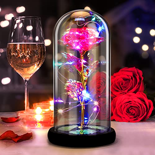 DASIAUTOEM Ewige Rose im Glas, Ewige Rosen Die Schöne und das Biest Rose Seidenrose und LED-Licht auf Holzsockel von DASIAUTOEM