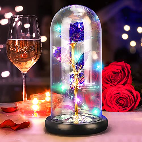 DASIAUTOEM Ewige Rose im Glas, Ewige Rosen Die Schöne und das Biest Rose Seidenrose und LED-Licht auf Holzsockel, Romantische Geschenk zum Muttertag Hochzeitstag Geschenke,Geschenk für Frau Freund von DASIAUTOEM