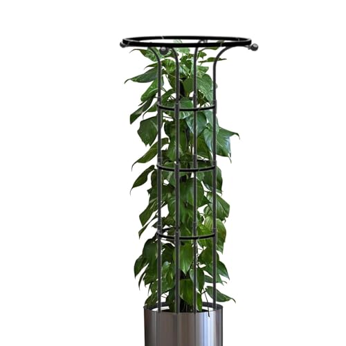 DAWCBVJQ 125 CmX20 cm Rankhilfen Spalier Obelisk Rankhilfe Obelisk Pflanzengitter Pflanzenstützen Kletterpflanzen Stütze Pflanzen Spalier PP-beschichtetes Stahlrohr Klettergerüst Im Zum Klettern von DAWCBVJQ