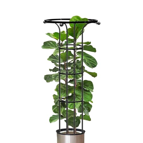 DAWCBVJQ 125 CmX20 cm Rankhilfen Spalier Obelisk Rankhilfe Obelisk Pflanzengitter Pflanzenstützen Kletterpflanzen Stütze Pflanzen Spalier PP-beschichtetes Stahlrohr Klettergerüst Im Zum Klettern von DAWCBVJQ