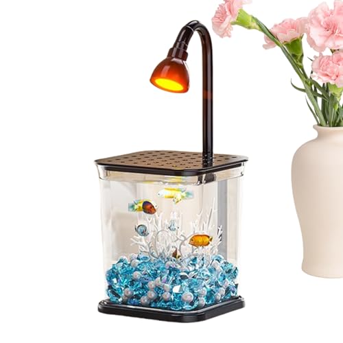 DAWCBVJQ Betta Fischbecken,Klare Aquarien Mit Beleuchtung | Desktop Dekoration Wasserlandschaft Klare Schreibtisch Spinne Zuhause Für Outdoor Tisch Büro DAWCBVJQ Betta Fischbecken,Klare Aquarien Mit Beleuchtung | Desktop Dekoration Wasserlandschaft Klare Schreibtisch Spinne Zuhause Für Outdoor Tisch Büro von DAWCBVJQ