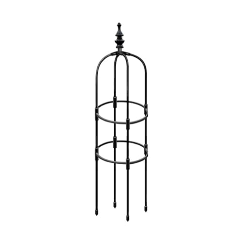 DAWCBVJQ Edelstahlrohr Rankobelisk Rankhilfe Garten Pflanzenstütze Rankgitter Kletterhilfe Obelisk Klettergerüst Spalier Pflanzenkäfige Für Rasen, Balkon, Garten, Terrasse von DAWCBVJQ