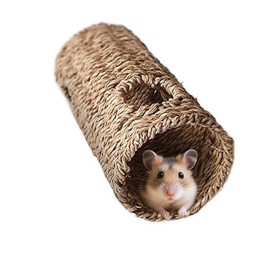 DAWCBVJQ Hamster Tunnel & Röhrensysteme,Hamster Röhren & Tunnel System - Kaugeeignetes Interaktives Sicher Spielzeug Zur Bewegungsförderung Und Käfigbereicherung Für Kleintiere Mit Beschäftigungsspaß von DAWCBVJQ