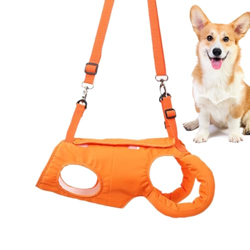 DAWCBVJQ Hundestützgurt | Verstellbarer Stützgurt Für Hunde - Flexibel Atmungsaktiv Assistenzbekleidung Gehhilfe Für Alte Behinderte Training Outdoor Aktivitäten von DAWCBVJQ