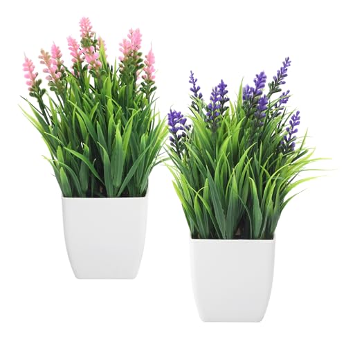 DAWRIS 2 Stück Künstliche Pflanzen mit Topf, Kunstpflanze Plastik Pflanze Deko, Kunstpflanzen Set, Kleine Fake Plants Topfpflanzen Dekopflanzen Pflanze Künstlich für Büro Haus Schlafzimmer Badezimmer DAWRIS 2 Stück Künstliche Pflanzen mit Topf, Kunstpflanze Plastik Pflanze Deko, Kunstpflanzen Set, Kleine Fake Plants Topfpflanzen Dekopflanzen Pflanze Künstlich für Büro Haus Schlafzimmer Badezimmer von DAWRIS