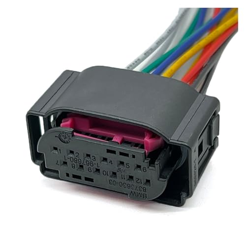 1 12-poliger Auto-Spurassistent-Lenksensor-Rückfahranschluss-Kabelbaum automatischer wasserdichter Anschluss 1534151-1 1534152-1(12Pin Female,1 Pc) von DAWSAXZKL