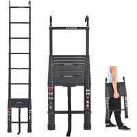 Dayplus - Alu Teleskopleiter Ausziehbar 6.2m Höhe Sicherheitshaken Leiter Mit Abnehmbarer Hake von DAYPLUS
