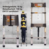 Teleskopleiter 3.2m Verlängerungsleiter, Edelstahl Teleskopverlängerung ausziehbare Leiter, Dachleitern für Zuhause, Multifunktions-Kompaktleiter für von DAY PLUS