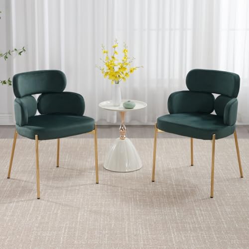 DAYALANE Esszimmerstühle 2er Set, Küchenstuhl Polsterstuhl mit Metallbeine aus Samt, Gebogene Rückenlehne Wohnzimmerstuhl für Esszimmer Wohnzimmer Küche Schlafzimmer, Grün DAYALANE Esszimmerstühle 2er Set, Küchenstuhl Polsterstuhl mit Metallbeine aus Samt, Gebogene Rückenlehne Wohnzimmerstuhl für Esszimmer Wohnzimmer Küche Schlafzimmer, Grün von DAYALANE