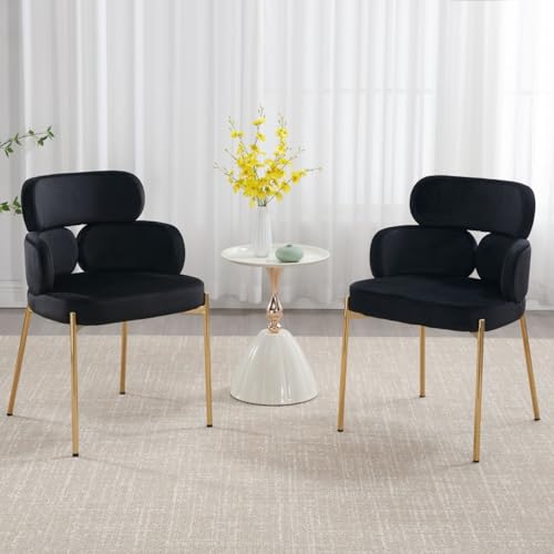 DAYALANE Esszimmerstühle 2er Set, Küchenstuhl Polsterstuhl mit Metallbeine aus Samt, Gebogene Rückenlehne Wohnzimmerstuhl für Esszimmer Wohnzimmer Küche Schlafzimmer, Schwarz DAYALANE Esszimmerstühle 2er Set, Küchenstuhl Polsterstuhl mit Metallbeine aus Samt, Gebogene Rückenlehne Wohnzimmerstuhl für Esszimmer Wohnzimmer Küche Schlafzimmer, Schwarz von DAYALANE