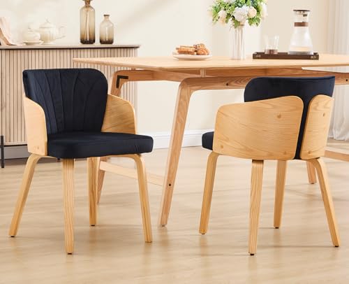 DAYALANE Esszimmerstühle 2er Set, Moderner Küchenstuhl Polsterstuhl mit Gebogene Rückenlehne Holzbeinen aus Samt, Wohnzimmerstuhl für Esszimmer Wohnzimmer Küche Schlafzimmer, Schwarz DAYALANE Esszimmerstühle 2er Set, Moderner Küchenstuhl Polsterstuhl mit Gebogene Rückenlehne Holzbeinen aus Samt, Wohnzimmerstuhl für Esszimmer Wohnzimmer Küche Schlafzimmer, Schwarz von DAYALANE