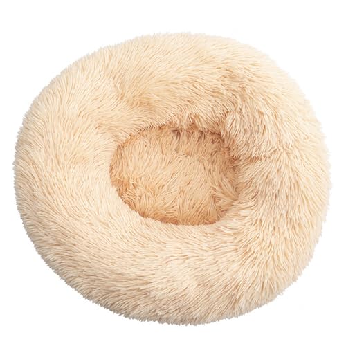 DAYKETNE Donut-Hundebett, Groß, Waschbares Katzen-/Kätzchenbett, D: 40–120 cm, Einfarbiger, Flauschiger Plüsch-Hundekorb mit Rutschfester Unterseite,Apricot-60CM von DAYKETNE