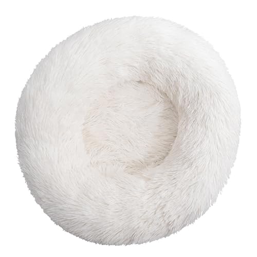 DAYKETNE Donut-Hundebett, Groß, Waschbares Katzen-/Kätzchenbett, D: 40–120 cm, Einfarbiger, Flauschiger Plüsch-Hundekorb mit Rutschfester Unterseite,White-80CM von DAYKETNE