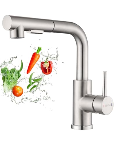 DAYONE Küchenarmatur mit Herausziehbarem Spray, SUS304 Edelstahl Hochdruck Wasserhahn Küche, Mischbatterie Küche mit 2 Funktionen, 360° schwenkbare Spültischarmatur Küche von DAYONE