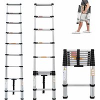 Dayplus - EN131 Alu-Teleskopleiter max. 2.6m lang Anlege Klapp-Mehrzweck-Leiter 150kg Tragfähig von DAYPLUS