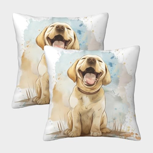 DAZBDEOCK Labradorhund Kissenbezüge 2er Set Zierkissenbezüge Zierkissen für Sofa Schlafzimmer Gartenbett 40x40cm DAZBDEOCK Labradorhund Kissenbezüge 2er Set Zierkissenbezüge Zierkissen für Sofa Schlafzimmer Gartenbett 40x40cm von DAZBDEOCK
